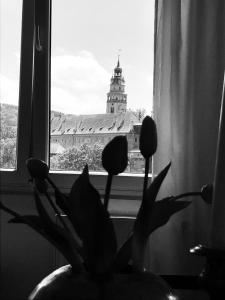un jarrón con flores delante de una ventana en Krumlove en Český Krumlov