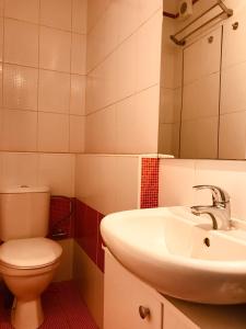 ein Badezimmer mit einem Waschbecken, einem WC und einem Spiegel in der Unterkunft Krumlove in Český Krumlov