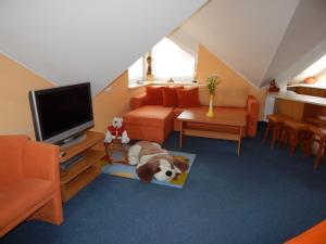 a living room with a dog laying on the floor at Apartmány v Terchovej in Terchová