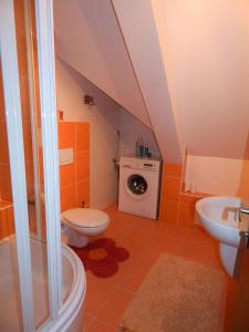 a bathroom with a toilet and a washing machine at Apartmány v Terchovej in Terchová