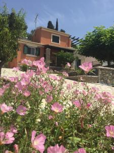a house with pink flowers in front of it at Thomas House in Pouládes