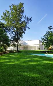 un bâtiment blanc avec un arbre et une cour dans l'établissement Casa de Apeleiras, à Marco de Canavezes