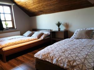 1 dormitorio con 2 camas y ventana en Varga Vendégház, en Tiszakécske