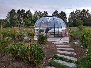 um jardim com uma cúpula de vidro num jardim em La bulle au bois dormant d'ovifat em Robertville