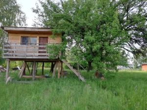 a wooden cabin in a field with a tree at Cottage in Pulemets