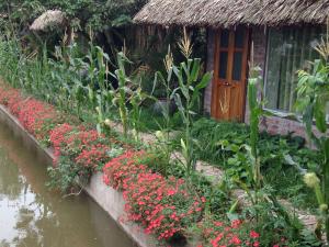 Thai Binh Garden في Thái Bình: حديقة بها زهور أمام المنزل
