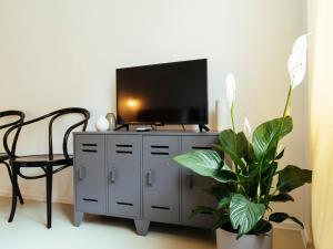 TV a/nebo společenská místnost v ubytování Top Location - Queen Elizabeth Studio Flat