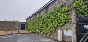 un mur en briques recouvert de lierre vert dans l'établissement La Ferme De Saint Julien, à Charleville-Mézières