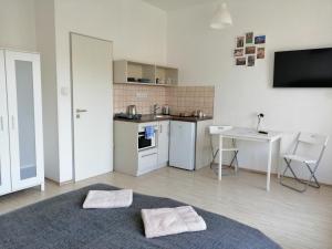 Kuchyňa alebo kuchynka v ubytovaní Zoom-Budapest Apartments