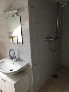 a bathroom with a sink and a shower with a mirror at Riedwiesen in Bad Rappenau +19 photos