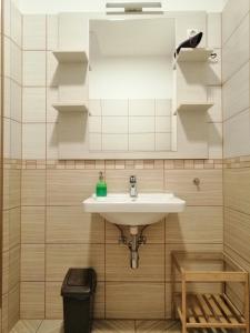 a bathroom with a sink and a mirror at Zoom-Budapest Apartments in Budapest