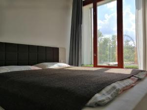 a bedroom with a bed with a large window at Zoom-Budapest Apartments in Budapest