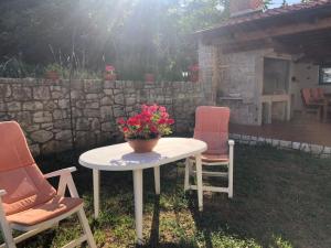 Ein Garten an der Unterkunft VILLA DIVNA