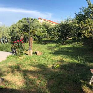 Ein Garten an der Unterkunft VILLA DIVNA