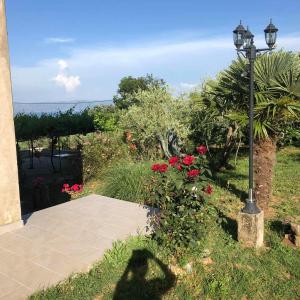 Ein Garten an der Unterkunft VILLA DIVNA