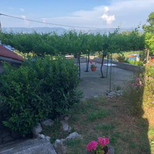 Ein Garten an der Unterkunft VILLA DIVNA