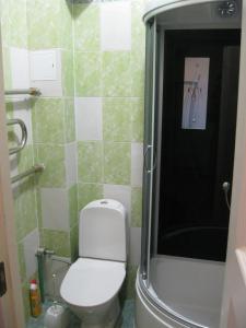 a small bathroom with a toilet and a shower at Private Apartment in Tallin (Pelguranna) in Tallinn