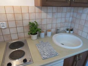 a kitchen with a sink and a stove and a sink at Manta Apartamenty in Sianozety
