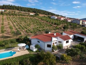 an aerial view of a house with a swimming pool at Quinta do Retiro in Felgar