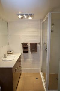 a bathroom with a shower, sink, and mirror at Pioneer Motel Goondiwindi in Goondiwindi