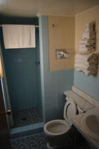 a bathroom with a toilet and a shower with towels at Mid-City Motel in Sault Ste. Marie