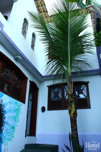 a palm tree in front of a house at HOSTEL Divinópolis in Divinópolis