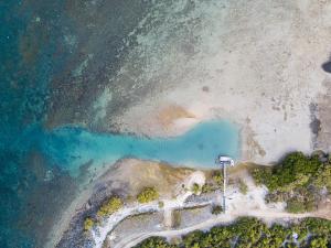 Foto dalla galleria di Camp Island Lodge a Guthalungra