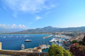 a view of a harbor with boats in the water at Hôtel Méditerranée in Calvi