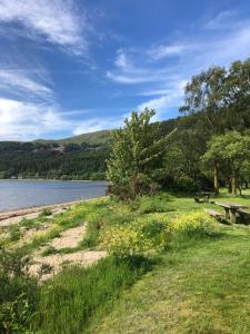 a park next to a lake with a bench and flowers at The Manor Sea View 1A in Ardentinny