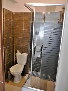 a bathroom with a toilet and a walk in shower at Apartament Kaszubski in Jastrzębia Góra