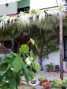 VobarnoにあるVilla Della Roccaの白い植物のパーゴラのある庭園