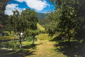 an apple orchard with two trees in the grass at Riverside Apartment in Tarrenz