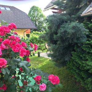 Zahrada ubytování Apartma Peter1a
