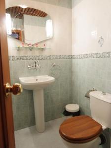 a bathroom with a toilet and a sink at Despot Slav Hotel & Restaurant in Melnik