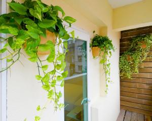 Hotel Color في تايبيه: باب فيه نباتات على جانب مبنى