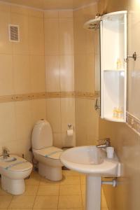 łazienka z toaletą i umywalką w obiekcie Delfin w mieście Koblewo