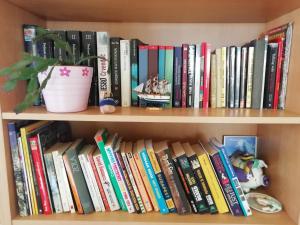 a book shelf filled with books and a potted plant at Apartment Felix in Split