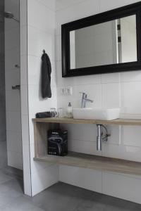 een badkamer met een wastafel en een spiegel bij De Weije Wereld in Sint-Oedenrode