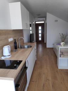 Kuchyň nebo kuchyňský kout v ubytování Apartman Anicic