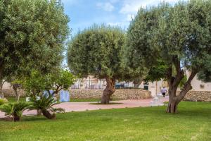 un gruppo di alberi in un parco con erba di Villa Erminia a Canicattini Bagni