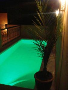 a potted plant sitting next to a pool at night at Riad Hermès in Marrakesh