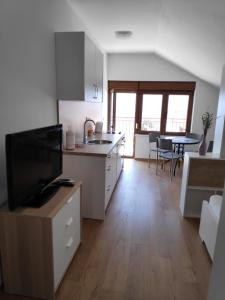 Kuchyň nebo kuchyňský kout v ubytování Apartman Anicic