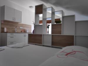 Kuchyň nebo kuchyňský kout v ubytování Apartman Anicic