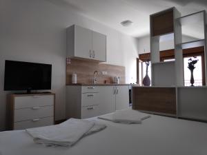 Kuchyň nebo kuchyňský kout v ubytování Apartman Anicic