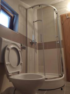 Koupelna v ubytování Apartman Anicic