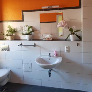 een badkamer met een wastafel en een toilet bij Ferienwohnung in Ostseenähe in Grevesmühlen