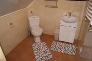 małą łazienkę z toaletą i umywalką w obiekcie Domek Całoroczny OSTOJA w Istebnej