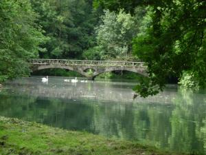 a bridge over a river with swans in the water at Domaine de Vadancourt in Maissemy