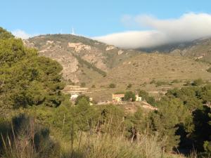 a house on top of a hill with trees at Finca El Carrascal in Murcia