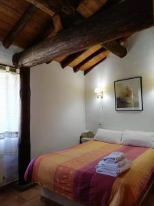 ナバレドンダ・デ・グレドスにあるCasa Rural La Pontezuela Arribaのベッドルーム1室(タオル付)